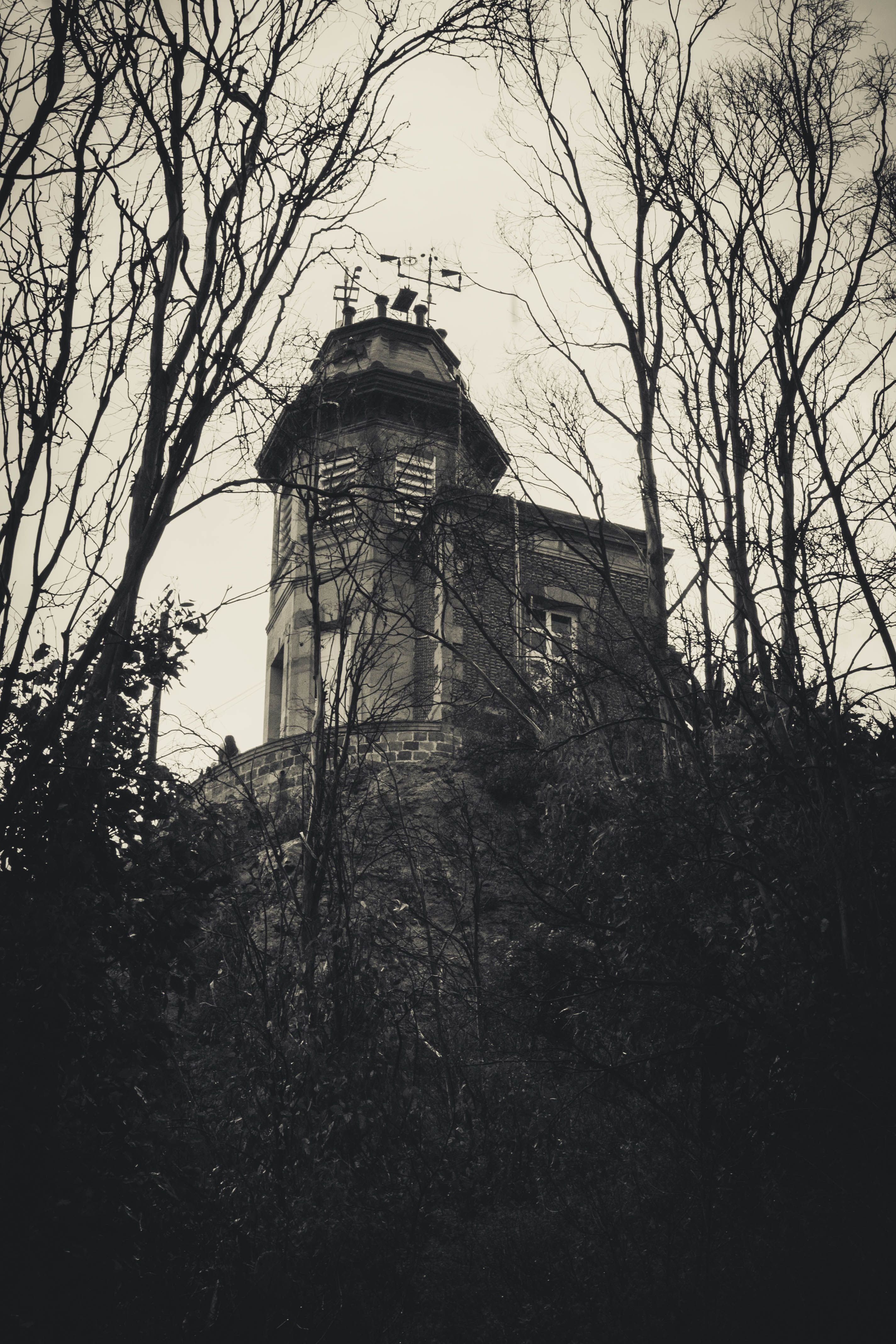 La Maison Mattaincourt - Cindy Redfield